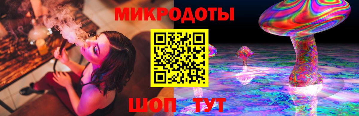 Миасс  Псилоцибиновые грибы Psilocybine cubensis  Вход с VPN 
